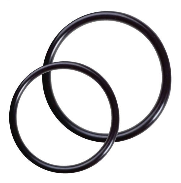 NASA - Satz O-Ringe f. NASA Logsensor 2 Stück