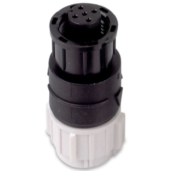 RAYMARINE - A06082, STNG (männl.) auf DeviceNet (w.) Adapter